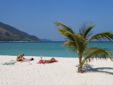 Sunbathing Girls on Beach with Young Palm Tree