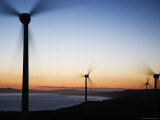 Albany Wind Farm at Sunset