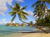 Intercontinental Moana Beach Bora Bora Bungalows