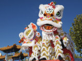Head of Chinese Dragon Puppet