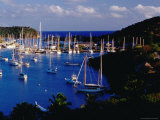 Nelson'S Dockyard and English Harbour