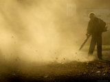 Autumn Leaf Blower