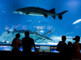 Beijing Aquarium