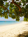 Houmale'eia Beach