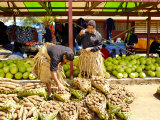 Men in Grass Skirts with Sweet Potatoes at Central Market