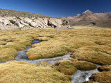 Nevado De Putre and Volcan Taapaca