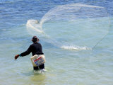 Net Fishing in Nukualofa Harbour