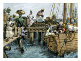 Natives Loading a Schooner with Coconuts at Kingston  Jamaica