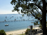 Readleaf Pool  Double Bay