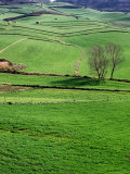Countryside Landscape  South of Enna
