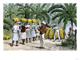 Jamaican Women Carrying Bananas to a Seaport  1800s