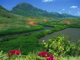 Overlooking a Verdant Green Valley with Hule'Ia Stream and Ancient Menehune Hawaiian Fishpond
