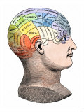 Phrenology Model of the Locations of the Various Organs of Mind in the Human Head