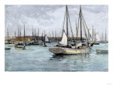 Sponge-Fishing Boats in Key West Harbor  1890s