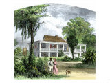 A Plantation Home in Mississippi before the Civil War