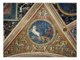 Frescoes on the Ceiling