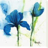 Lily I