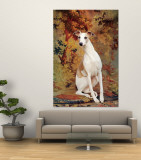 Portrait of Whippet Chosen Best in Show at the 88th Annual Westminster Kennel Club Dog Show