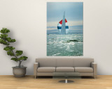 The Sailboat Nefertiti Competing in the America's Cup Trials