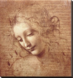 Female Head (La Scapigliata)  c1508