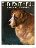 Old Faithful Dogs  USA  1910