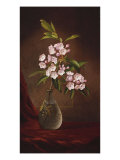 Laurel Blossoms in a Vase