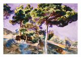 Trees