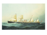 SS Ronans  1883
