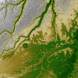 Bolivian Amazon
