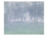 Morning Mists