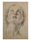 Head of a Woman Looking Up