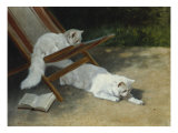 Two White Persian Cats with a Ladybird by a Deckchair  19th Century