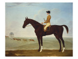 Chesnut Racehorse with Jockey Up on Newmarket Heath  18th Century