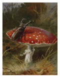 Stag Beetle on a Toadstool  1928
