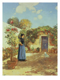 Sunny Morning  Villiers-Le-Bel