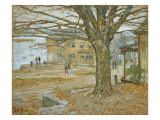 November  Cos Cob Pastel on Prepared Tan Board  1902
