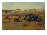 Landscape  1884