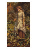 The Fair Gardener  19th Century