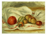 Still Life  Nature Morte