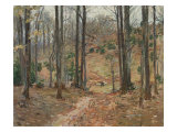 Virginia Woods  c1893
