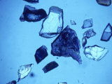 Feldspar  Rock-Forming Mineral