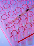 Close Up Test Tubes in Rack with Pipette