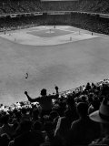 Fan Rooting for His Team in a Packed Stadium During Brooklyn Dodger Game at Ebbets