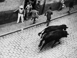 Running of the Bulls for Fiesta of San Ferman