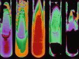 Five Test Tubes in Color