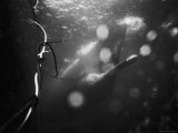 Underwater View of a Torpedo Being Launched from a Submarine