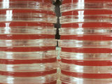 Research Labware Petri Dishes with Agar