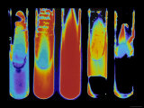 Digitized Test Tubes in a Row