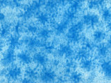 Avian Influenza Strain of Virus Infection Birds