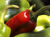 Red and Green Peppers Grocery Market